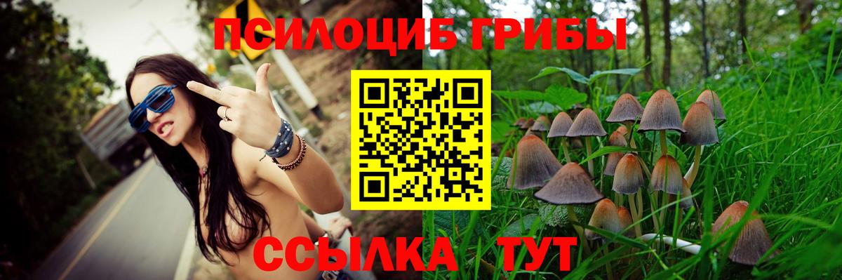 Семёнов  Галлюциногенные грибы GOLDEN TEACHER  Вход с VPN  Псилоцибиновые грибы Psilocybine cubensis 